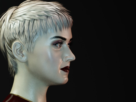 Katy Perry Model 3D