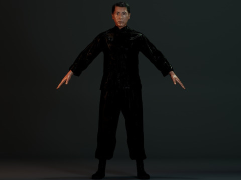 IP MAN Modèle 3D