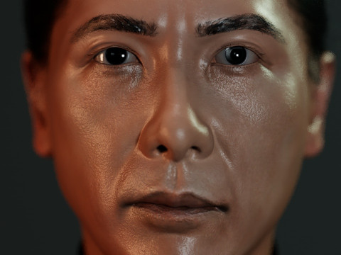 IP MAN Modèle 3D