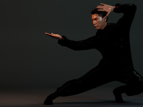 IP MAN Modèle 3D