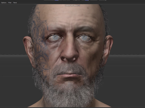 Odin 3Dモデル