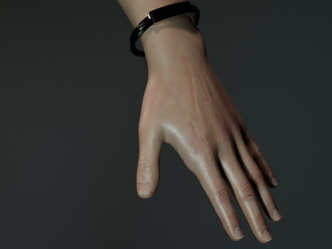 Sam Porter Bridges Model 3D