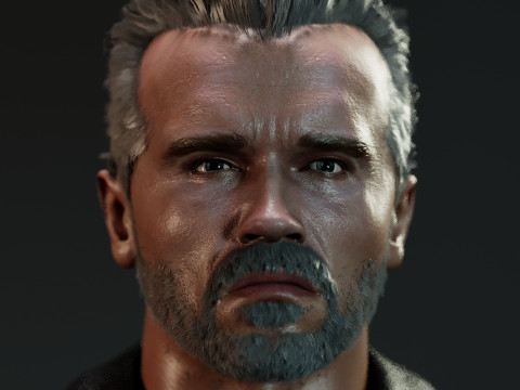 Terminator Arnold Schwarzenegger Modelo 3D
