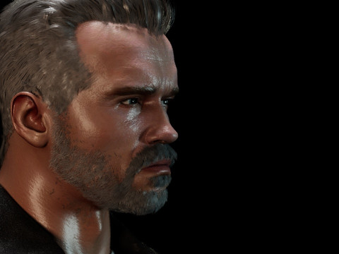Terminator Arnold Schwarzenegger 3D Model