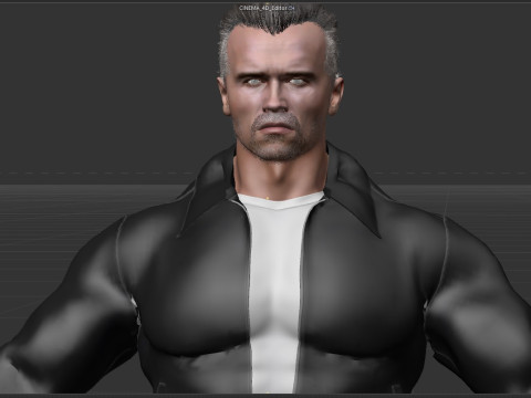 Terminator Arnold Schwarzenegger 3D Model