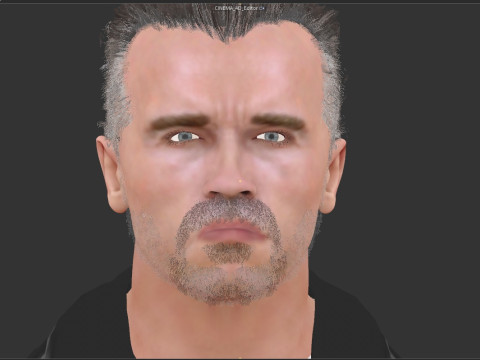 Terminator Arnold Schwarzenegger 3D Model
