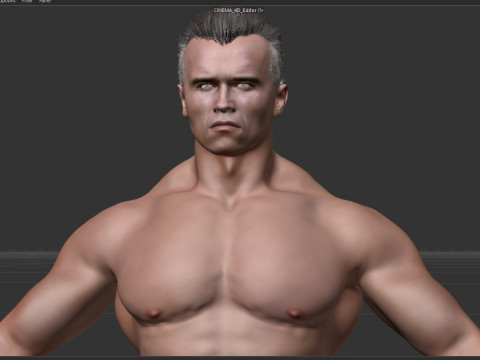 Terminator Arnold Schwarzenegger 3D Model