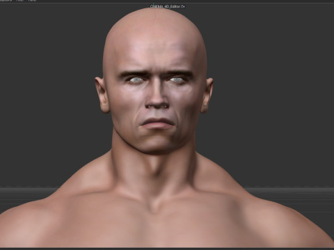 Terminator Arnold Schwarzenegger 3D Model