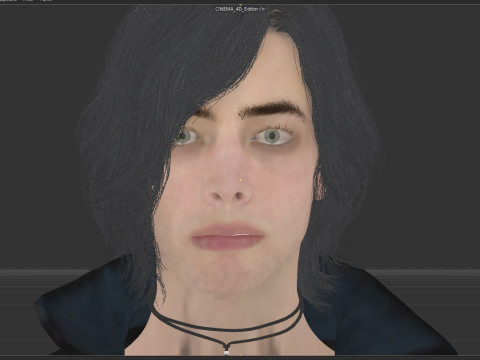 Devil May Cry V 3D Model in Fantasy 3DExport