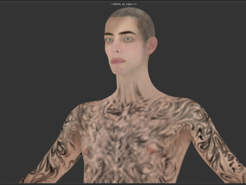 Devil May Cry V 3D Model