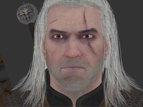 The Witcher 3D Модель