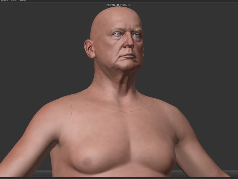 Donald Trump 3Dモデル