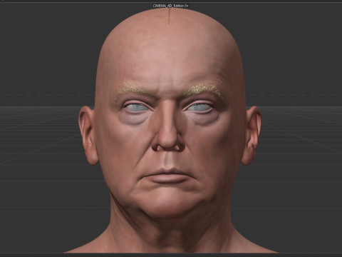 Donald Trump 3Dモデル