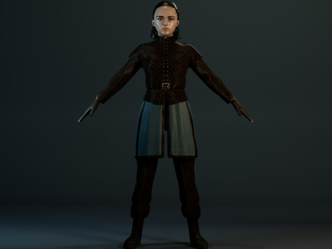 Arya Stark Model 3D