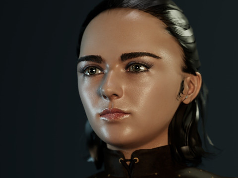 Arya Stark Model 3D