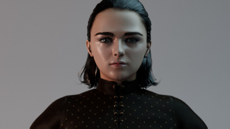 Arya Stark Model 3D .c4d .max .obj .3ds .fbx .stl .blend