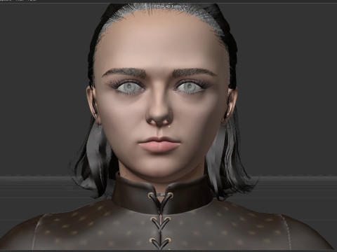 Arya Stark Model 3D