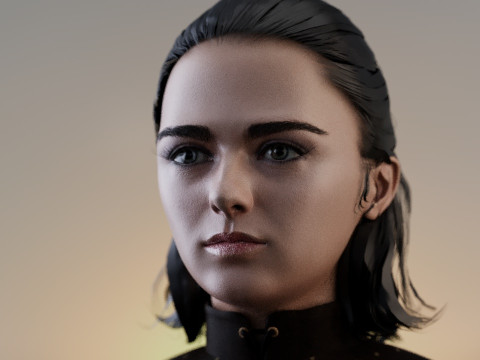 Arya Stark Model 3D