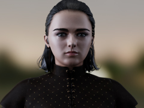 Arya Stark Model 3D