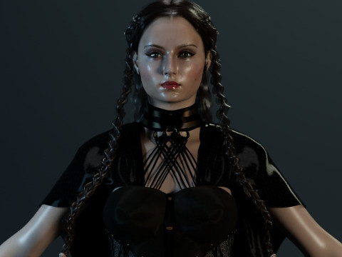 Sansa Stark Model 3D