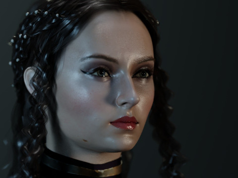 Sansa Stark Model 3D