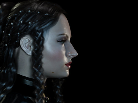 Sansa Stark Model 3D