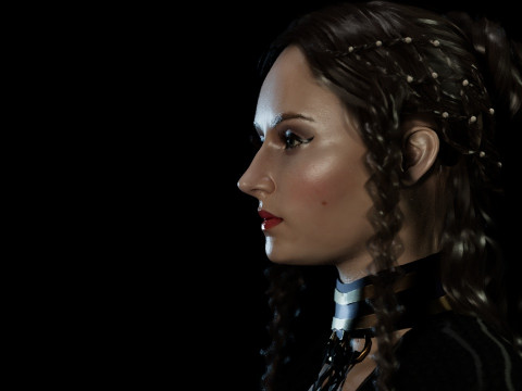 Sansa Stark Model 3D