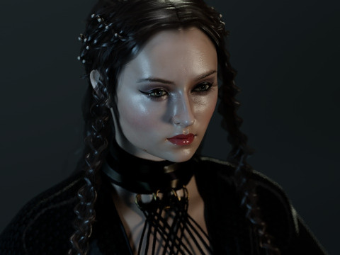 Sansa Stark Model 3D