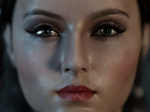 Sansa Stark Model 3D