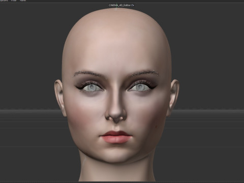 Sansa Stark Model 3D