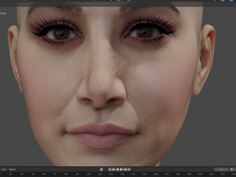 Ashley Tisdale 3D Model