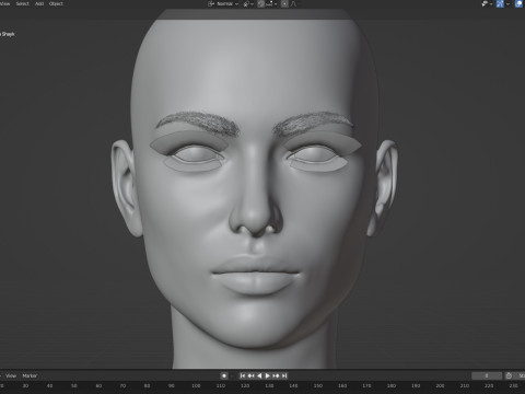 Irina Shayk Modelo 3D