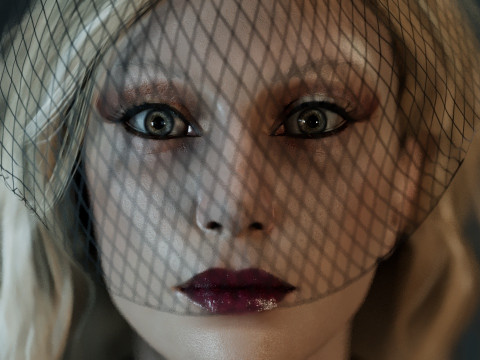 Lady Gaga 3D Модель