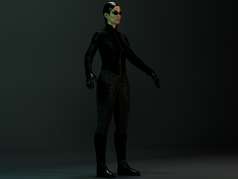 Trinity 3D Model