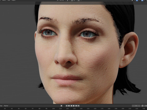 Trinity 3D Model