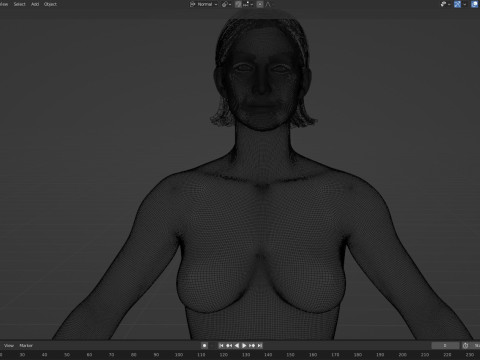 Trinity 3D Model
