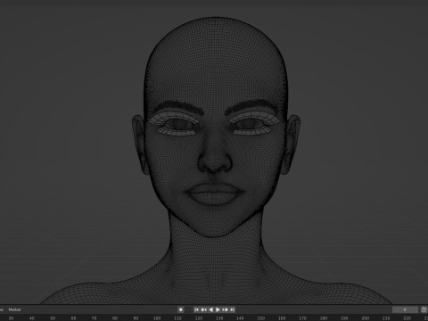 Amanda Seyfried Model 3D