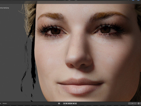 Emily VanCamp 3D Модель