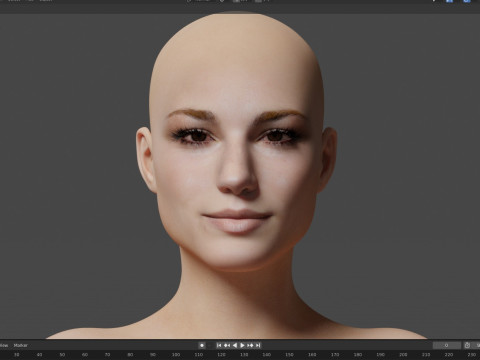 Emily VanCamp 3D Модель