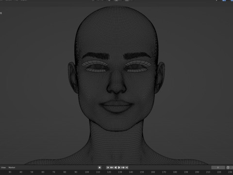Emily VanCamp 3D Модель