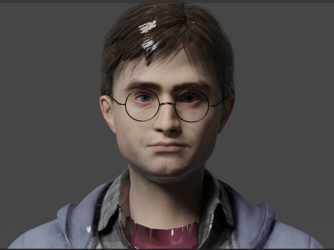 Harry Potter Modèle 3D
