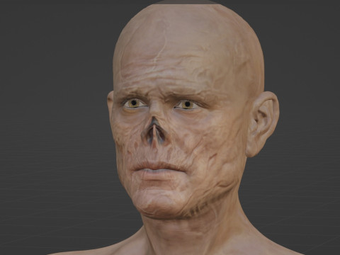 Cooper Howard The Ghoul Modelo 3D