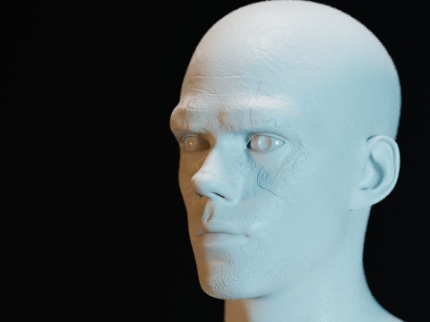 PennywiZe 3Dモデル