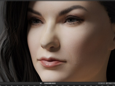 Sasha Grey 3Dモデル