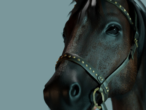 Red Horse Modelo 3D