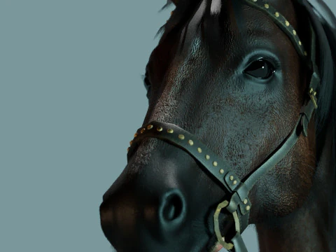 Red Horse 3D Model