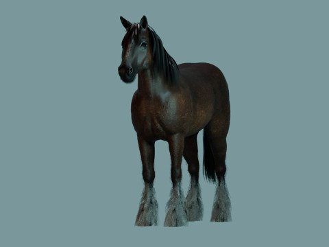 Red Horse Modelo 3D