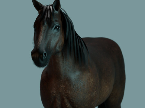 Red Horse Modelo 3D