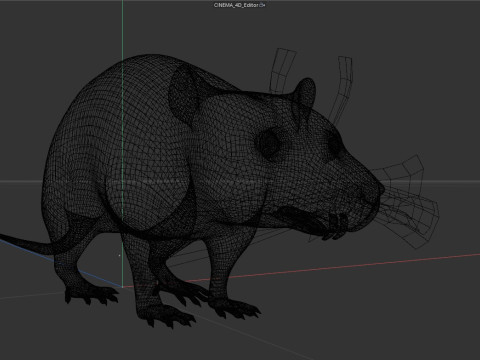 Rat Model 3D
