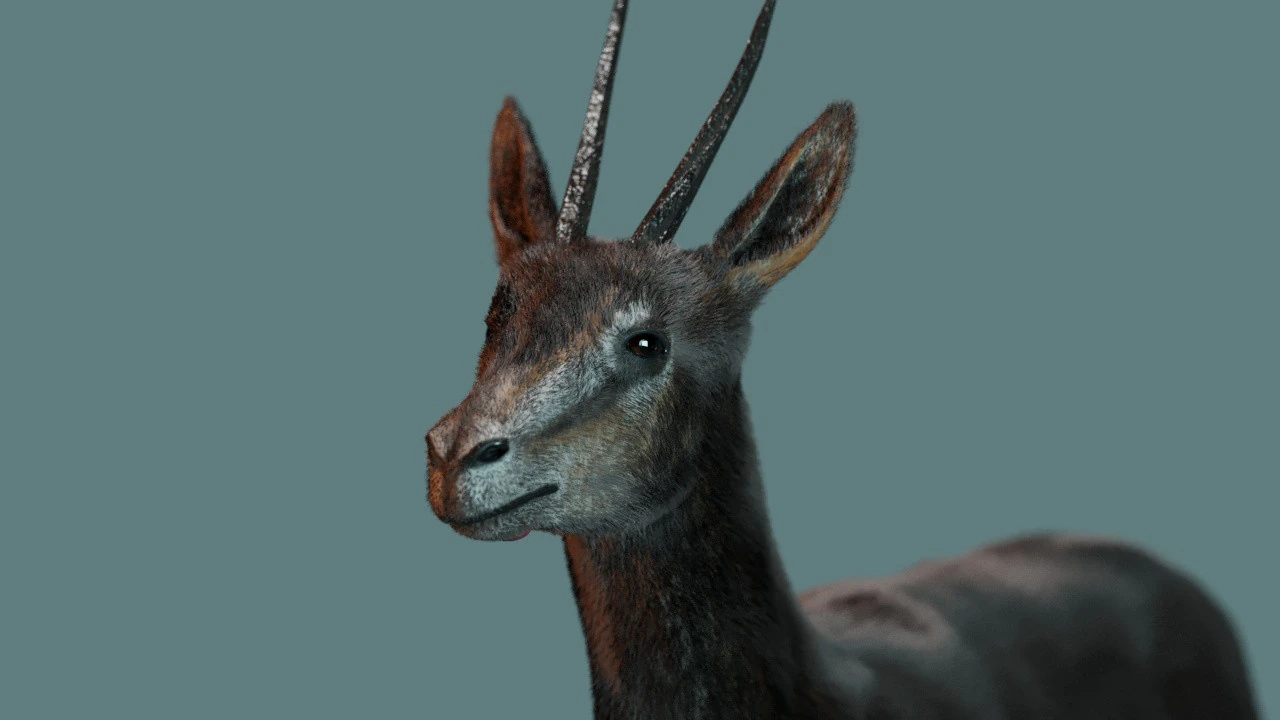 Wild Gazelle 3D Model .c4d .max .obj .3ds .fbx .stl .blend 
